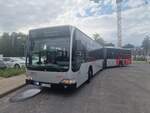 facelift-g-4-tuerer/849382/vhh-1257-mb-citaro-fl-g VHH 1257, MB Citaro FL G als 536 Bitte nicht Einsteigen (Glinde Am Sportplatz) 14.07.2023