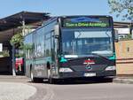 HH-TE 598 von Tom´s Drive Academy, MB Citaro O530 als RB81/RE80 SEV (Bf.