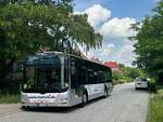 VHH 1442, MAN Lion City A21 auf der 235 nach Bitte nicht Einsteigen  (Nettelnburg, Kienenhagen) 24.05.2024