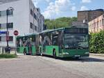 H-FE 96 (ex. AK 07404) von Enders Busbetrieb aus Hannover, MB Citaro Facelift GÜ als RB81/RE80 SEV (Bf. Bad Oldesloe) 13.05.2023